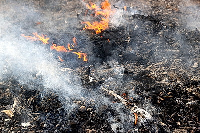 В Брестской области в марте произошло более 120 загораний травы и кустарников