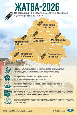 Инфографика. Жатва - 2026