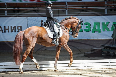 Международные соревнования по конному спорту "Этап Кубка Евразии по выездке" завершились в Ратомке