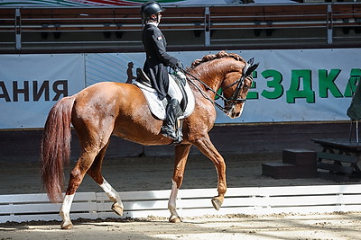 Международные соревнования по конному спорту "Этап Кубка Евразии по выездке" завершились в Ратомке