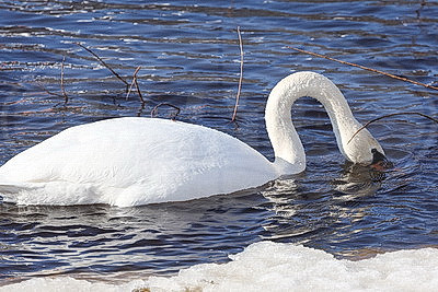 ФОТОХРОНИКА начинает новый информационный день