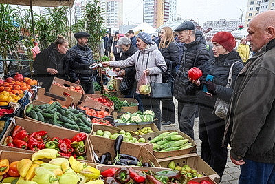 Овощи прямо с грядки. В Могилеве прошла большая сельхозярмарка