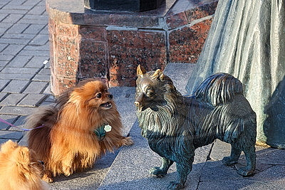 ФОТОХРОНИКА начинает новый информационный день