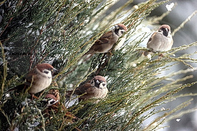 ФОТОХРОНИКА начинает новый информационный день