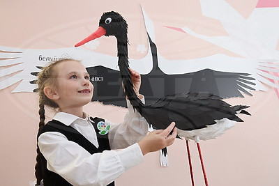 Около 100 аистов, сделанных учащимися и педагогами витебской СШ №46, украсили школьную экспозицию