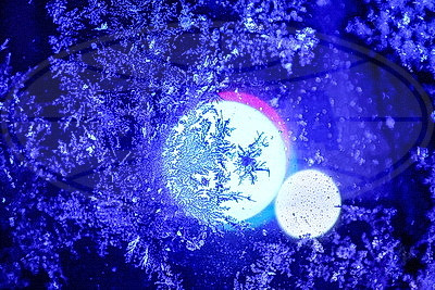 ФОТОХРОНИКА начинает новый информационный день