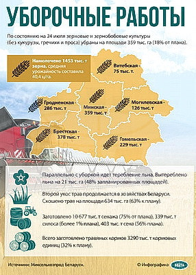 Инфографика. Уборочные работы