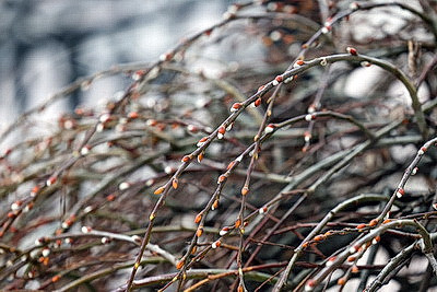 ФОТОХРОНИКА начинает новый информационный день