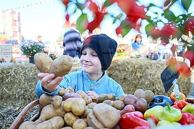 Тыква весом 263 кг, соломенные фотозоны и ярмарка. В Бресте прошел фестиваль "Дары осени"