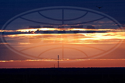 ФОТОХРОНИКА начинает новый информационный день