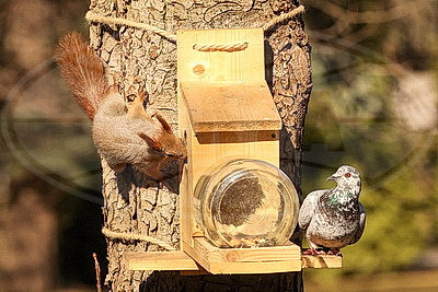 ФОТОХРОНИКА начинает новый информационный день