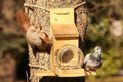 ФОТОХРОНИКА начинает новый информационный день