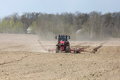 "Погода испытывает на прочность, но мы не пасуем". В Быховском районе активно сеют кукурузу на зерно