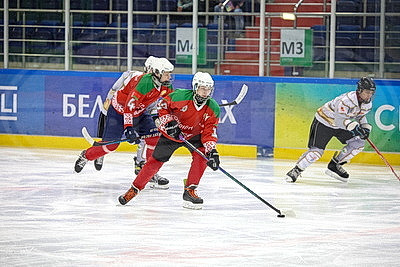 "Огненные рыси" из Гомельского района выиграли "старший" финал "Золотой шайбы" в дивизионе "Б"