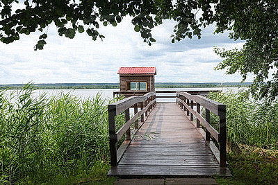 От экомаршрутов до лесного зоопарка. Чем Березинский заповедник привлекает 100 тыс. туристов в год