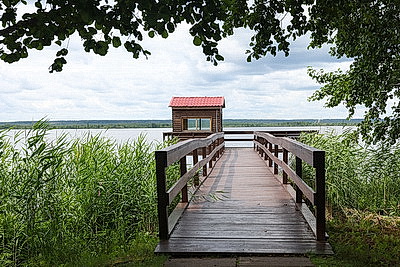 От экомаршрутов до лесного зоопарка. Чем Березинский заповедник привлекает 100 тыс. туристов в год