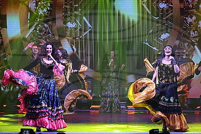 Сольный концерт коллектива "Аллюр" прошел на сцене Молодежного театра эстрады