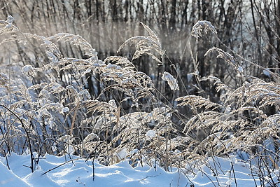 ФОТОХРОНИКА начинает новый информационный день