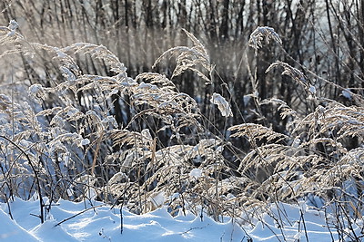 ФОТОХРОНИКА начинает новый информационный день