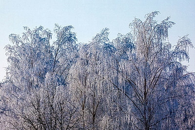 ФОТОХРОНИКА начинает новый информационный день
