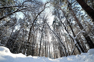 ФОТОХРОНИКА начинает новый информационный день