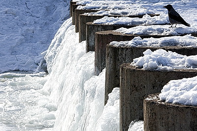 ФОТОХРОНИКА начинает новый информационный день