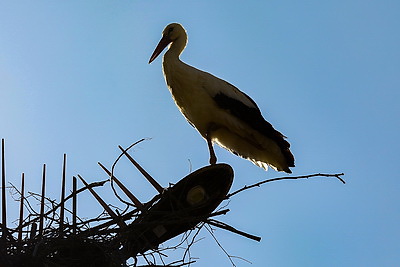 ФОТОХРОНИКА начинает новый информационный день
