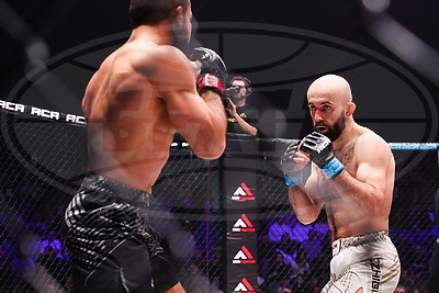 Турнир по смешанным единоборствам прошел в Минске