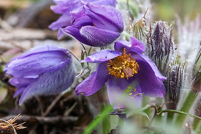 ФОТОХРОНИКА начинает новый информационный день