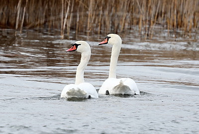 ФОТОХРОНИКА начинает новый информационный день