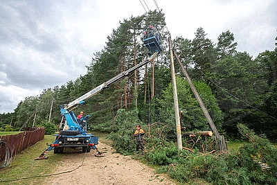 Шквалистый ветер и дожди: циклон "Приска" обрушился на регионы Беларуси