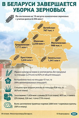 Инфографика. В Беларуси завершается уборка зерновых