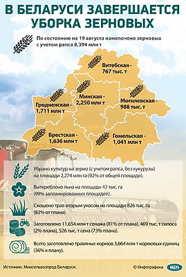 Инфографика. В Беларуси завершается уборка зерновых