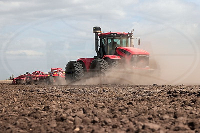 Посадка раннего картофеля идет в крупном хозяйстве Ивановского района