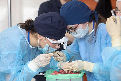 Международная студенческая олимпиада по хирургии собрала в ГрГМУ 11 команд из Беларуси, России, Кыргызстана и Узбекистана