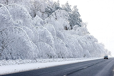 Ночью до -25..-30°С ожидается в Беларуси 15 января